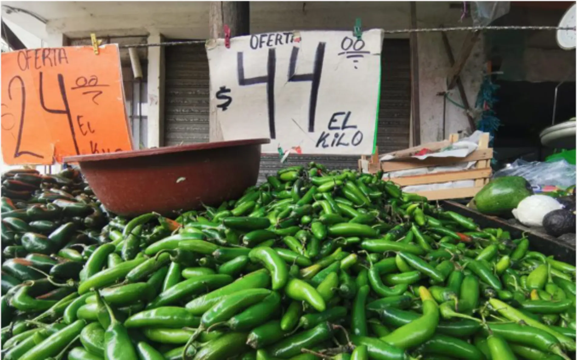 Productos del campo registran un incremento